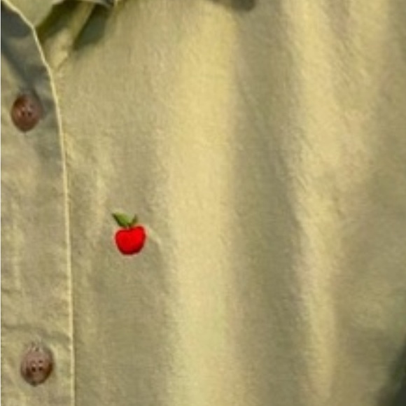 NWOT Soft green Lemon Grass Studios button down shirt - Picture 3 of 3